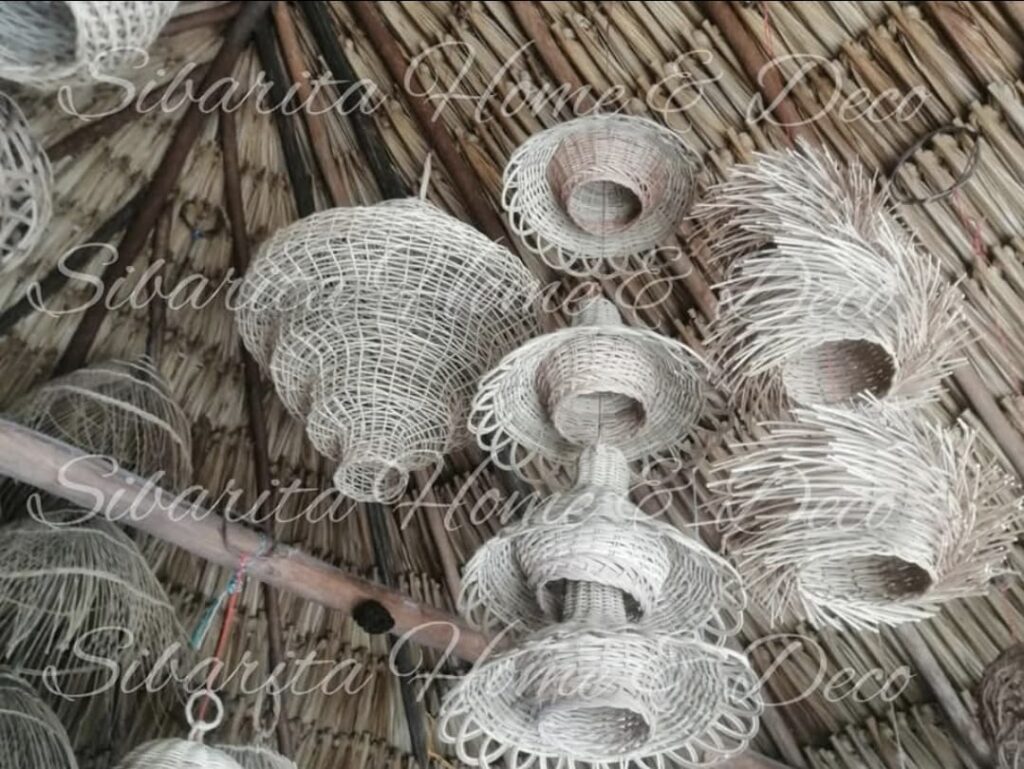 img 20250824 wa0025